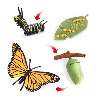 Motýl, Včela, Žába, Zvířata Model Života Kruh, Brzy Vzdělávací Hračka Simulace Zvíře Růstový Model dětské Vzdělávací Hračky